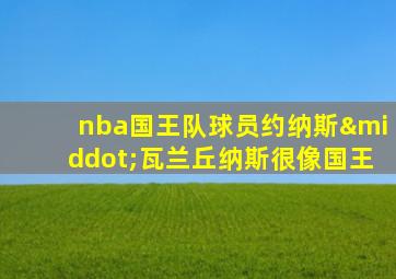 nba国王队球员约纳斯·瓦兰丘纳斯很像国王