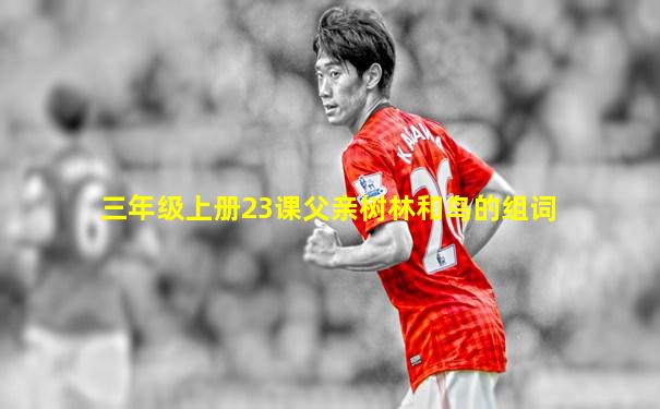 三年级上册23课父亲树林和鸟的组词