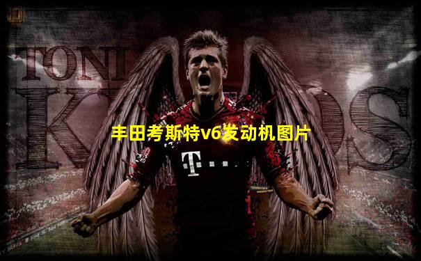 丰田考斯特v6发动机图片