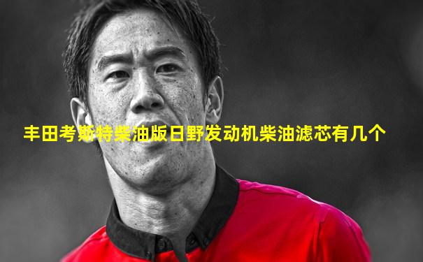 丰田考斯特柴油版日野发动机柴油滤芯有几个