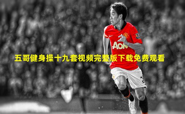五哥健身操十九套视频完整版下载免费观看