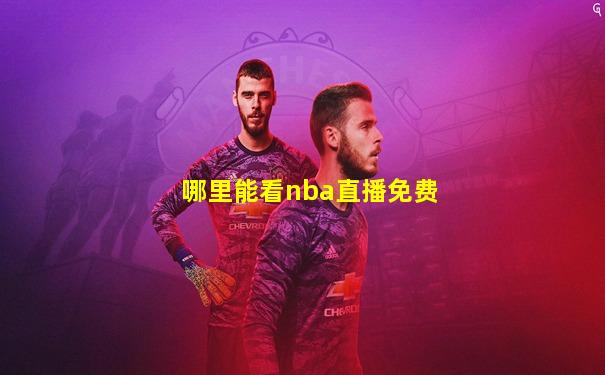 哪里能看nba直播免费
