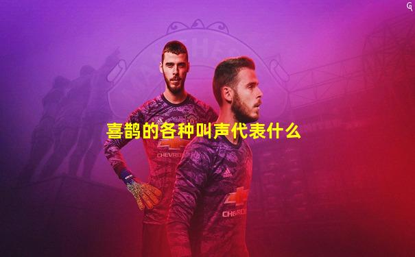 喜鹊的各种叫声代表什么
