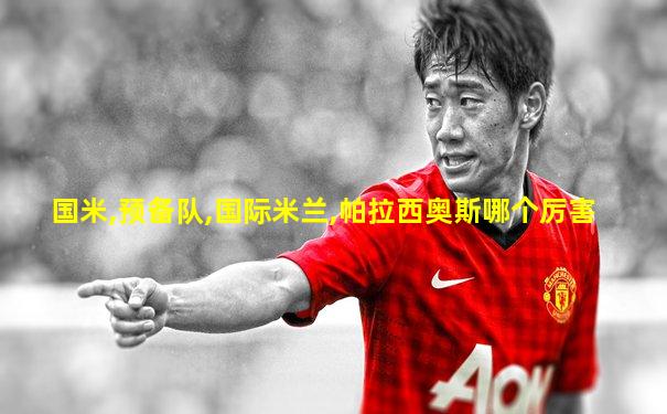 国米,预备队,国际米兰,帕拉西奥斯哪个厉害