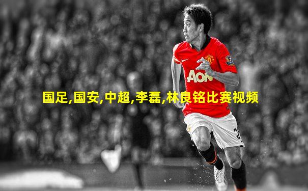 国足,国安,中超,李磊,林良铭比赛视频