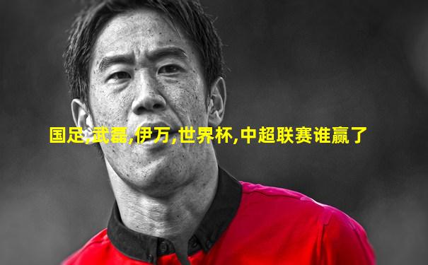 国足,武磊,伊万,世界杯,中超联赛谁赢了