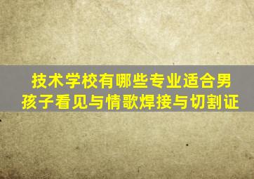 技术学校有哪些专业适合男孩子看见与情歌焊接与切割证