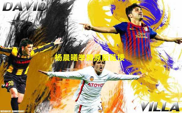 杨晨曦举牌原版链接