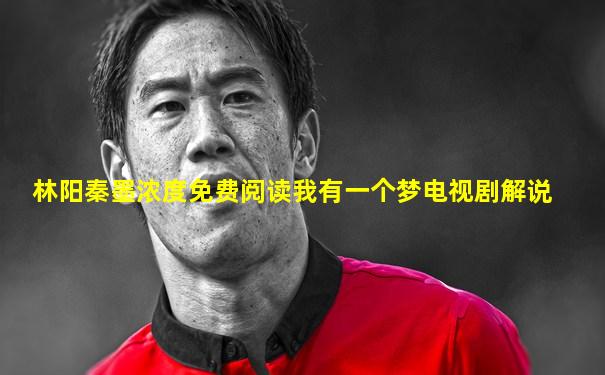 林阳秦墨浓度免费阅读我有一个梦电视剧解说