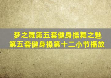 梦之舞第五套健身操舞之魅第五套健身操第十二小节播放