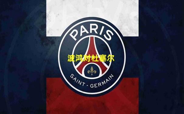 波鸿对杜塞尔
