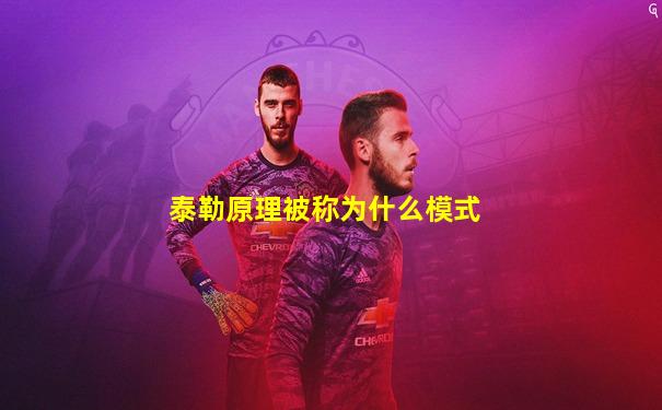 泰勒原理被称为什么模式