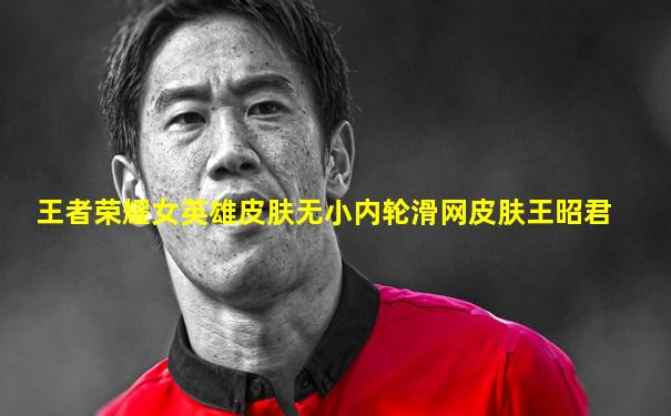 王者荣耀女英雄皮肤无小内轮滑网皮肤王昭君