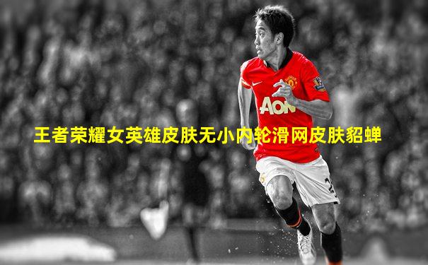 王者荣耀女英雄皮肤无小内轮滑网皮肤貂蝉