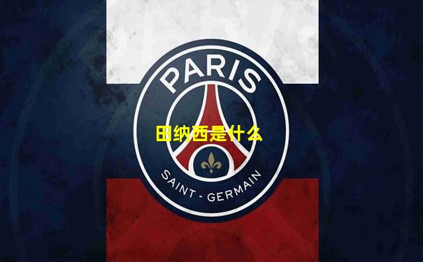 田纳西是什么