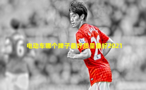 电动车哪个牌子最好质量最好2021
