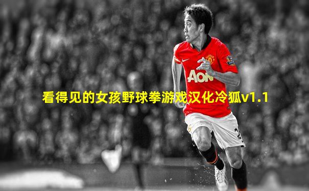 看得见的女孩野球拳游戏汉化冷狐v1.1