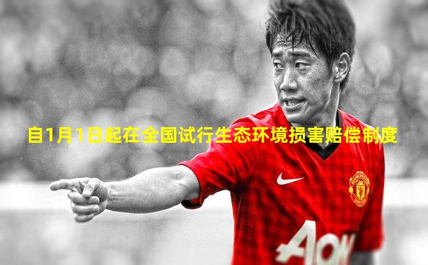 自1月1日起在全国试行生态环境损害赔偿制度