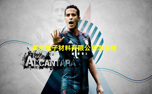 莱尔电子材料有限公司怎么样