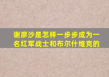 谢廖沙是怎样一步步成为一名红军战士和布尔什维克的