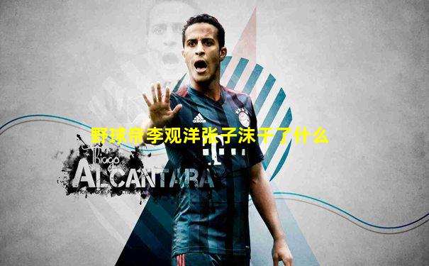 野球帝李观洋张子沫干了什么