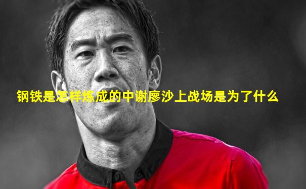 钢铁是怎样炼成的中谢廖沙上战场是为了什么