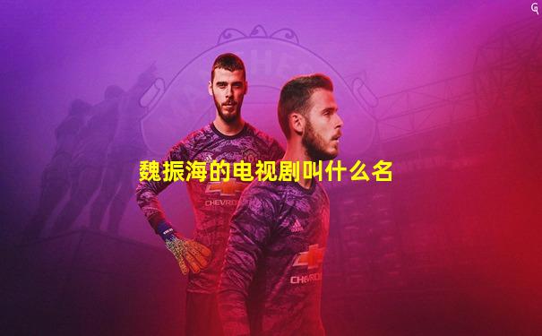 魏振海的电视剧叫什么名