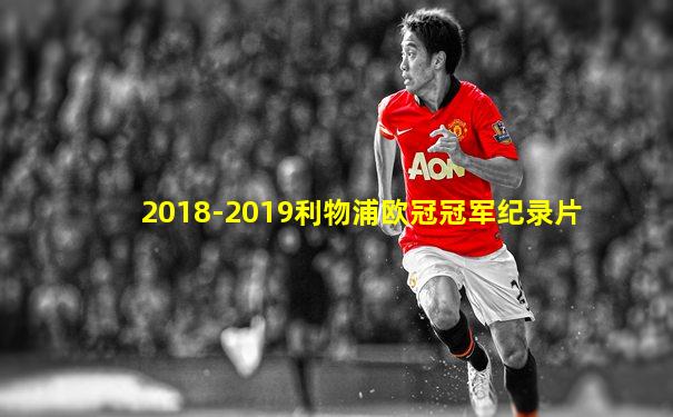 2018-2019利物浦欧冠冠军纪录片