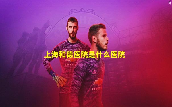 上海和德医院是什么医院