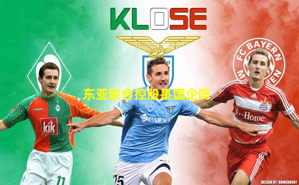 东亚联合控股是国企吗