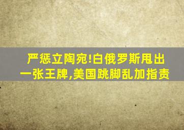 严惩立陶宛!白俄罗斯甩出一张王牌,美国跳脚乱加指责