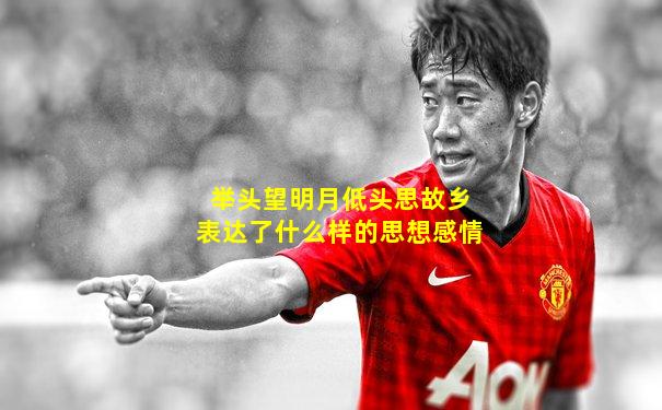举头望明月低头思故乡表达了什么样的思想感情