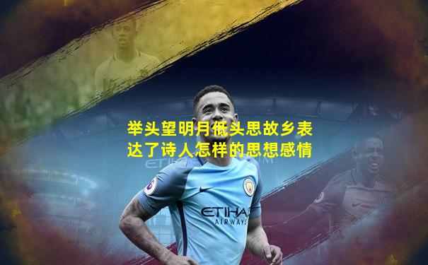 举头望明月低头思故乡表达了诗人怎样的思想感情