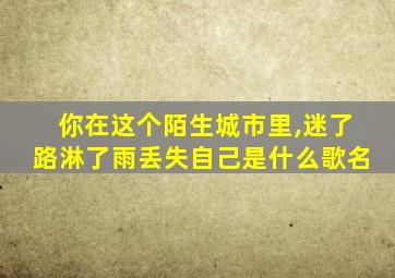 你在这个陌生城市里,迷了路淋了雨丢失自己是什么歌名