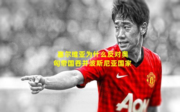 塞尔维亚为什么反对奥匈帝国吞并波斯尼亚国家