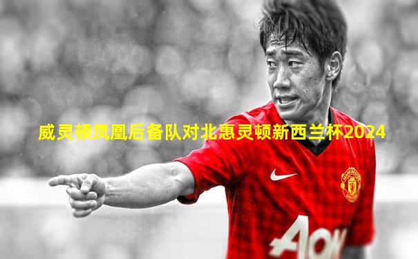 威灵顿凤凰后备队对北惠灵顿新西兰杯2024