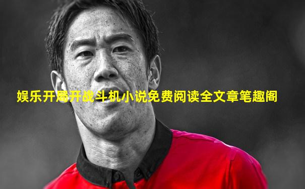 娱乐开局开战斗机小说免费阅读全文章笔趣阁
