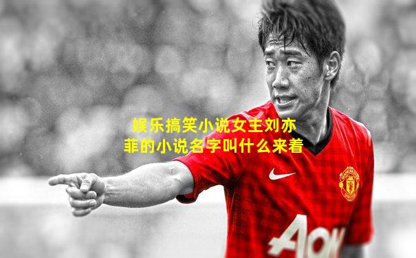 娱乐搞笑小说女主刘亦菲的小说名字叫什么来着
