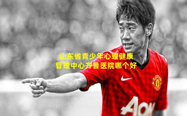 山东省青少年心理健康管理中心齐鲁医院哪个好