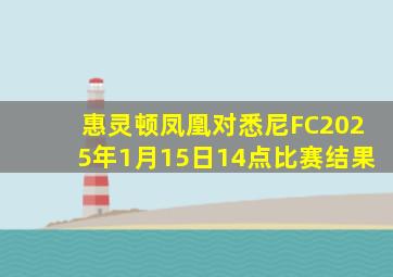 惠灵顿凤凰对悉尼FC2025年1月15日14点比赛结果