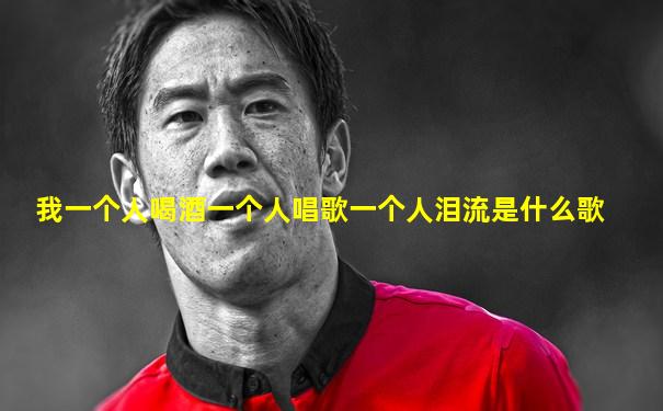 我一个人喝酒一个人唱歌一个人泪流是什么歌