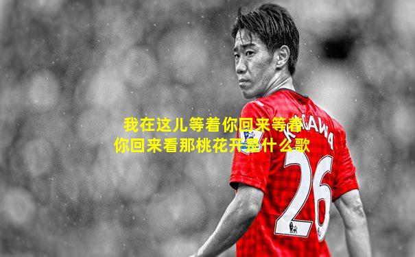我在这儿等着你回来等着你回来看那桃花开是什么歌