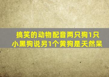 搞笑的动物配音两只狗1只小黑狗说另1个黄狗是天然呆
