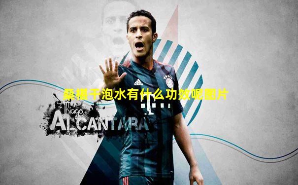 桑椹干泡水有什么功效呢图片