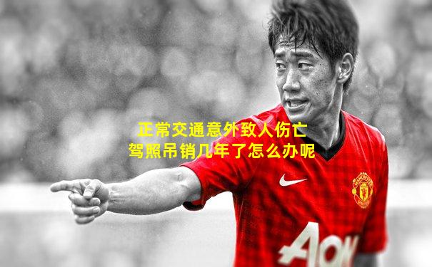 正常交通意外致人伤亡驾照吊销几年了怎么办呢