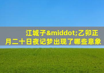 江城子·乙卯正月二十日夜记梦出现了哪些意象