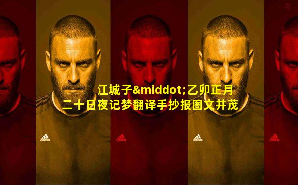 江城子·乙卯正月二十日夜记梦翻译手抄报图文并茂