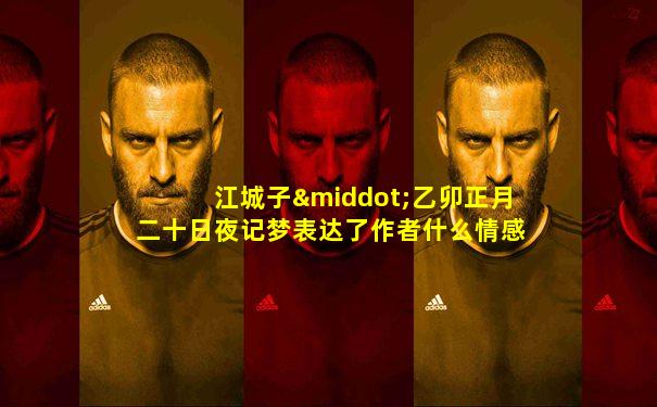江城子·乙卯正月二十日夜记梦表达了作者什么情感
