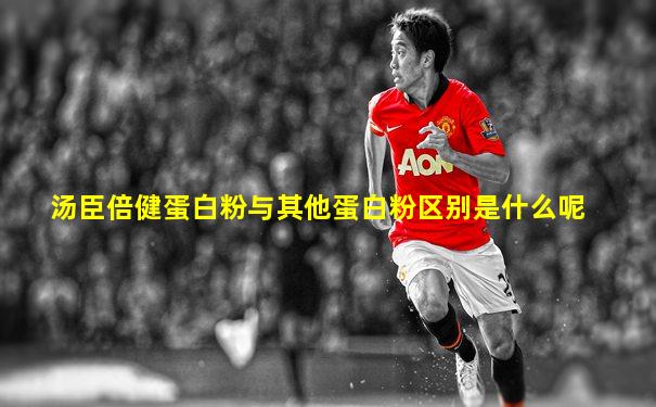 汤臣倍健蛋白粉与其他蛋白粉区别是什么呢