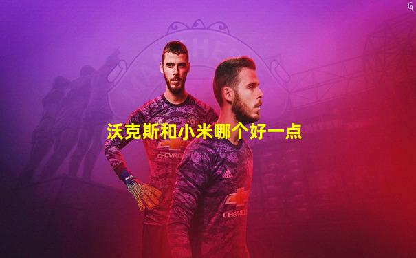 沃克斯和小米哪个好一点